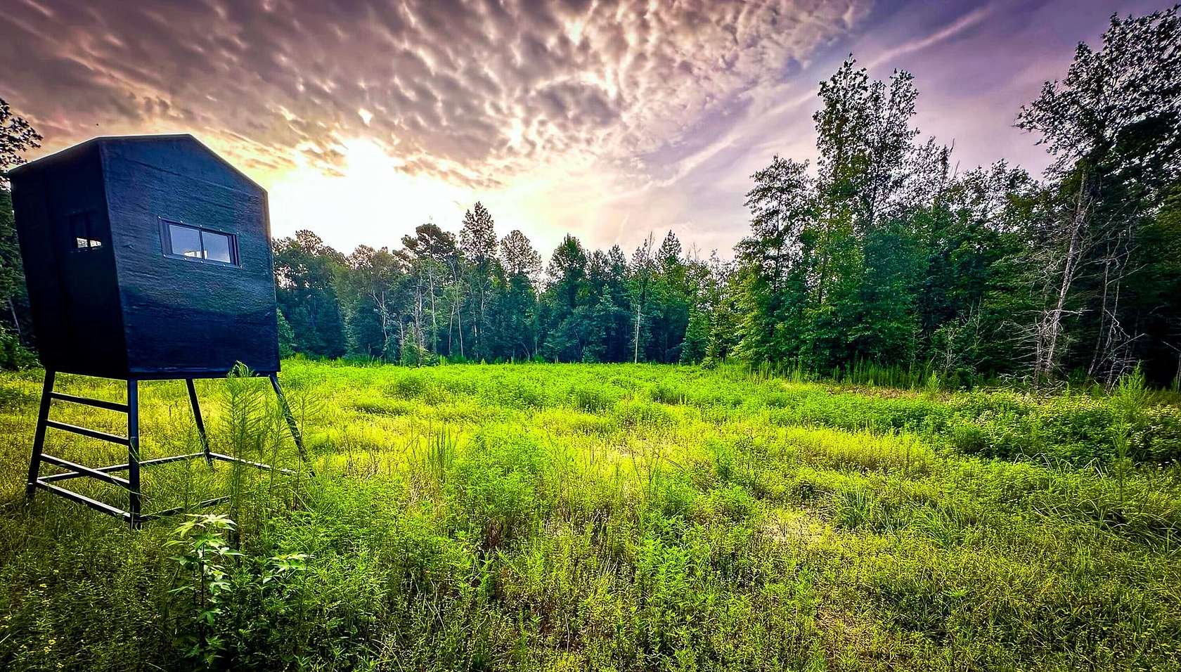 140 Acres of Recreational Land for Sale in Livingston, Texas