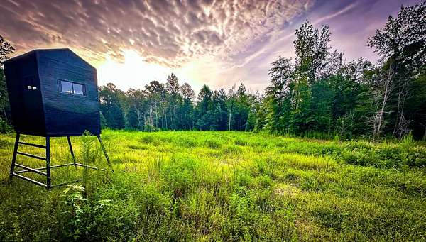 140 Acres of Recreational Land for Sale in Livingston, Texas