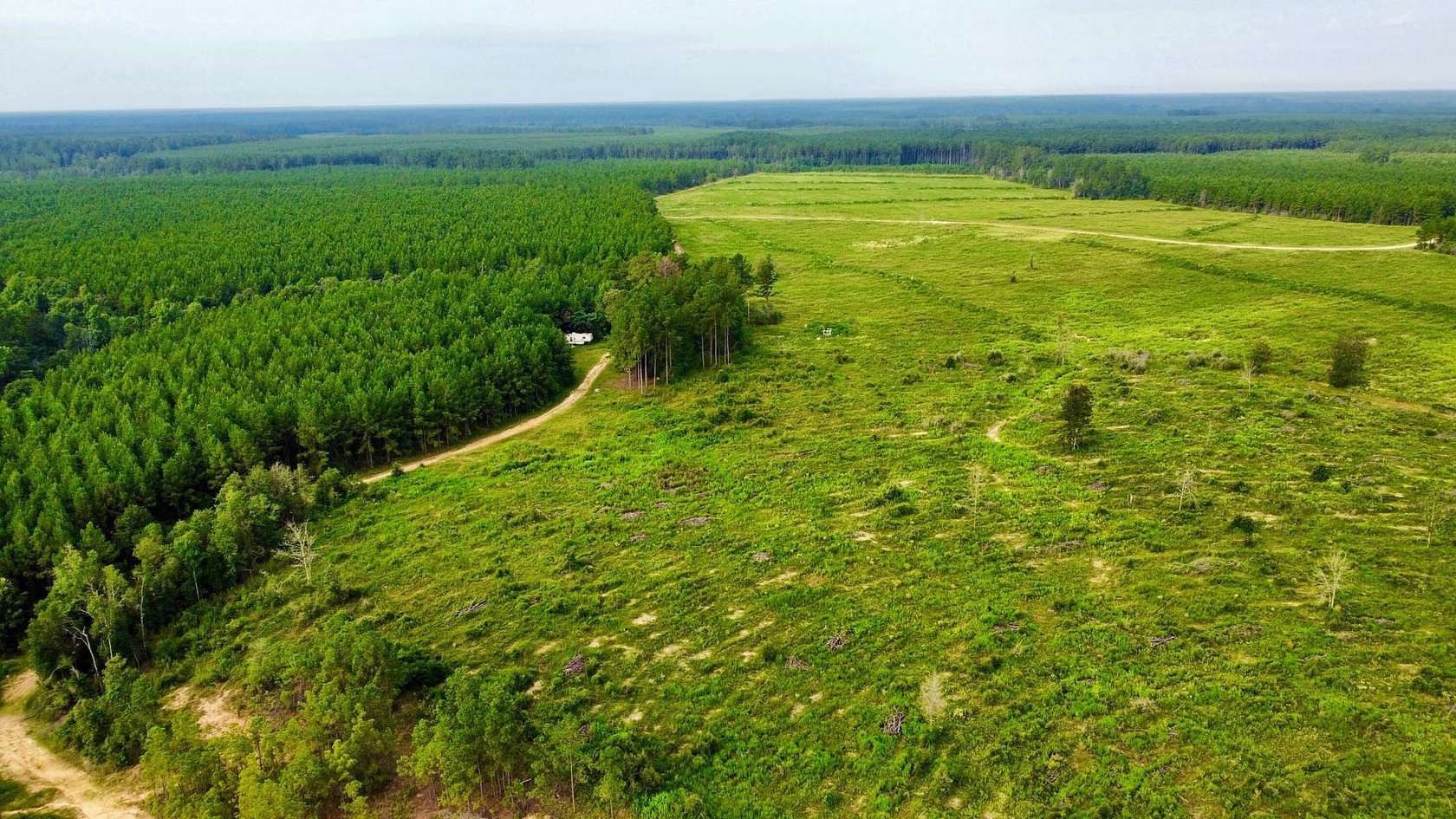 148 Acres of Recreational Land for Sale in Livingston, Texas