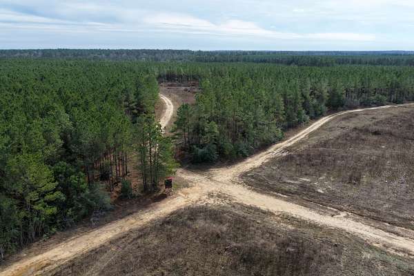 148 Acres of Recreational Land for Sale in Livingston, Texas