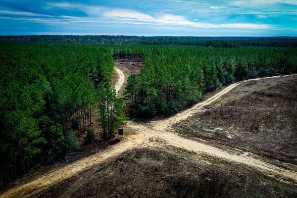 148 Acres of Recreational Land for Sale in Livingston, Texas