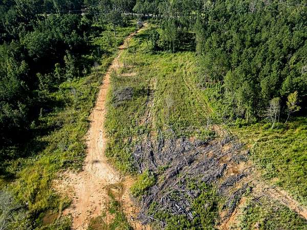 84 Acres of Recreational Land & Farm for Sale in Gloster, Mississippi