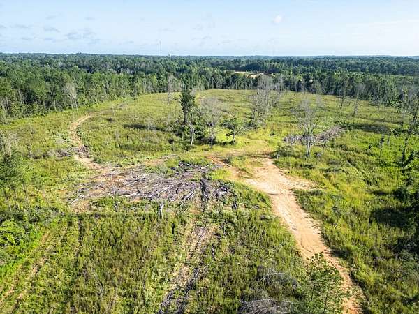 84 Acres of Recreational Land amp - Gloster Ms 145996212