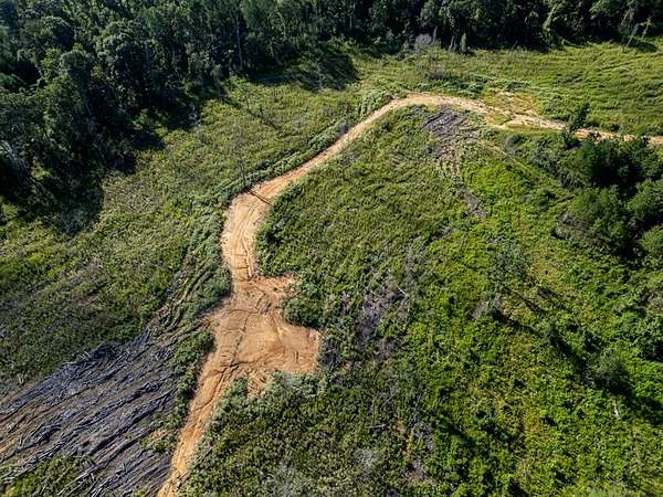 84 Acres of Recreational Land amp - Gloster Ms 145996218