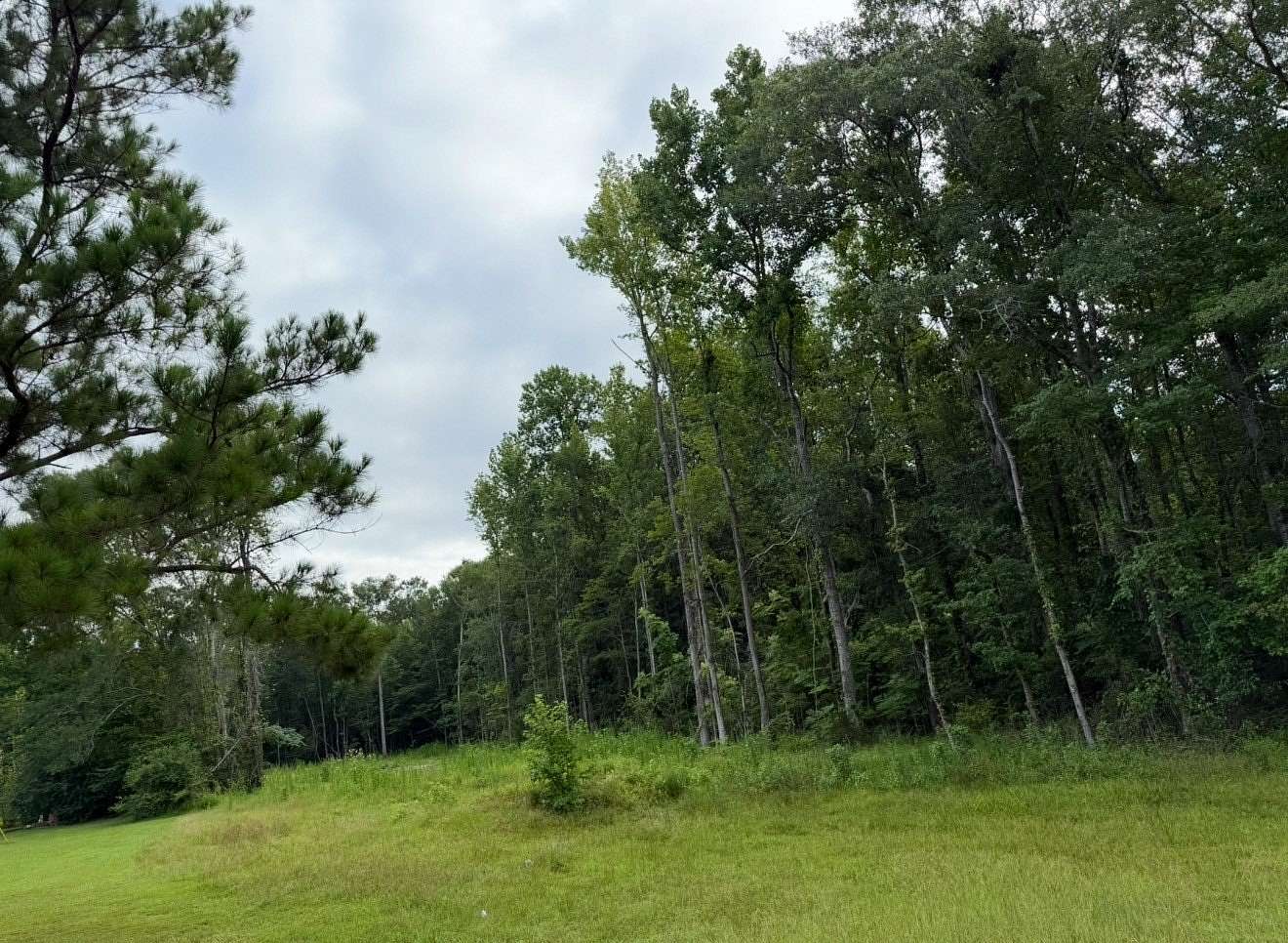1.23 Acres of Residential Land for Sale in Opelika, Alabama