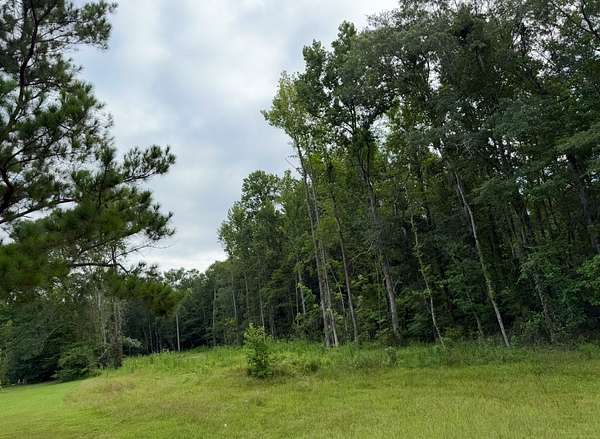 1.23 Acres of Residential Land for Sale in Opelika, Alabama