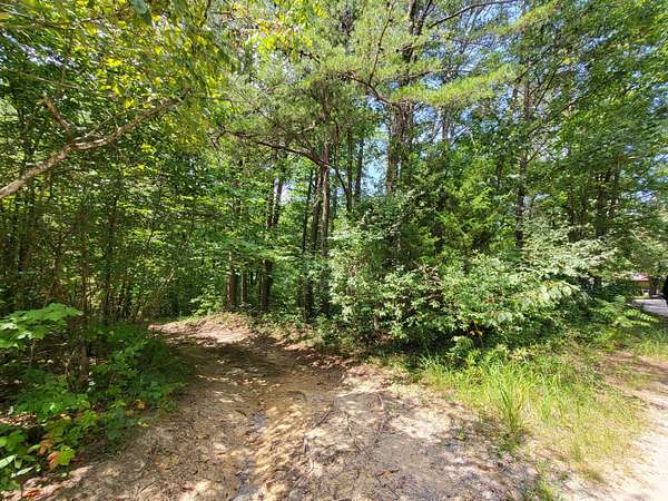 34.5 Acres of Land for Sale in Pikeville, Tennessee