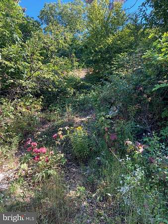 20 Acres of Recreational Land for Sale in Winchester, Virginia