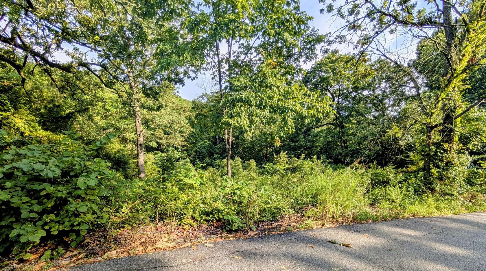 0.4 Acres of Residential Land for Sale in Branson West, Missouri
