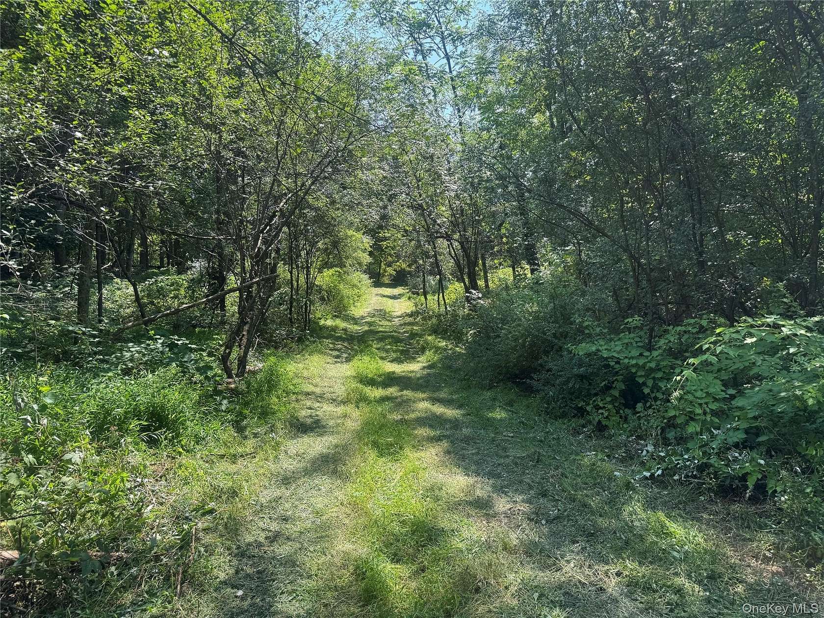 27.9 Acres of Recreational Land for Sale in Goshen, New York