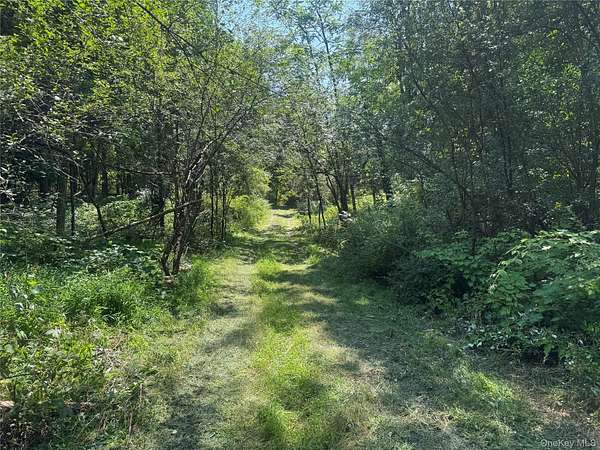 27.9 Acres of Recreational Land for Sale in Goshen, New York