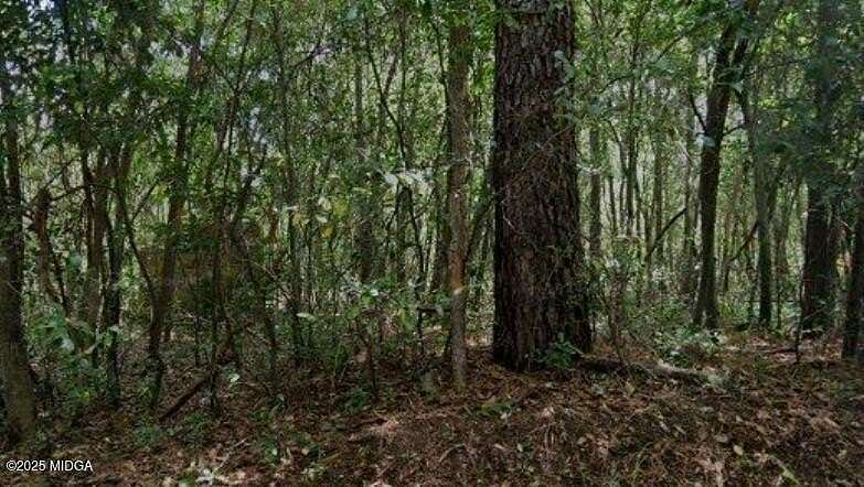 1.2 Acres of Residential Land for Sale in Macon, Georgia