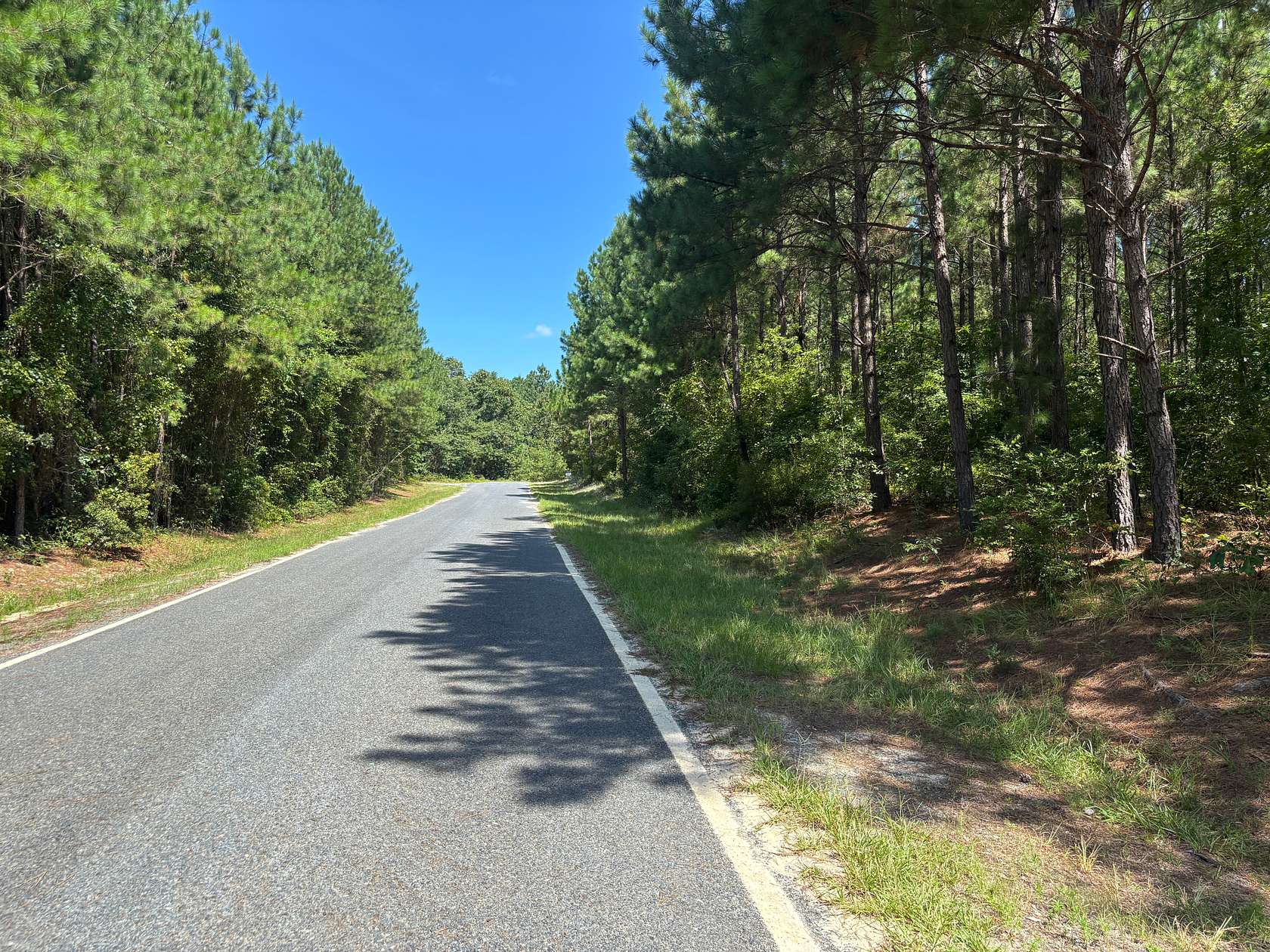 70 Acres of Recreational Land for Sale in Laurinburg, North Carolina