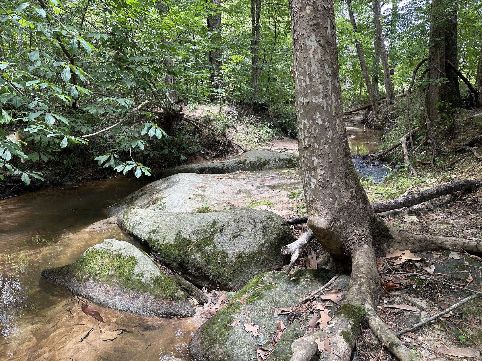 206 Acres of Recreational Land for Sale in Hickory Grove, South Carolina