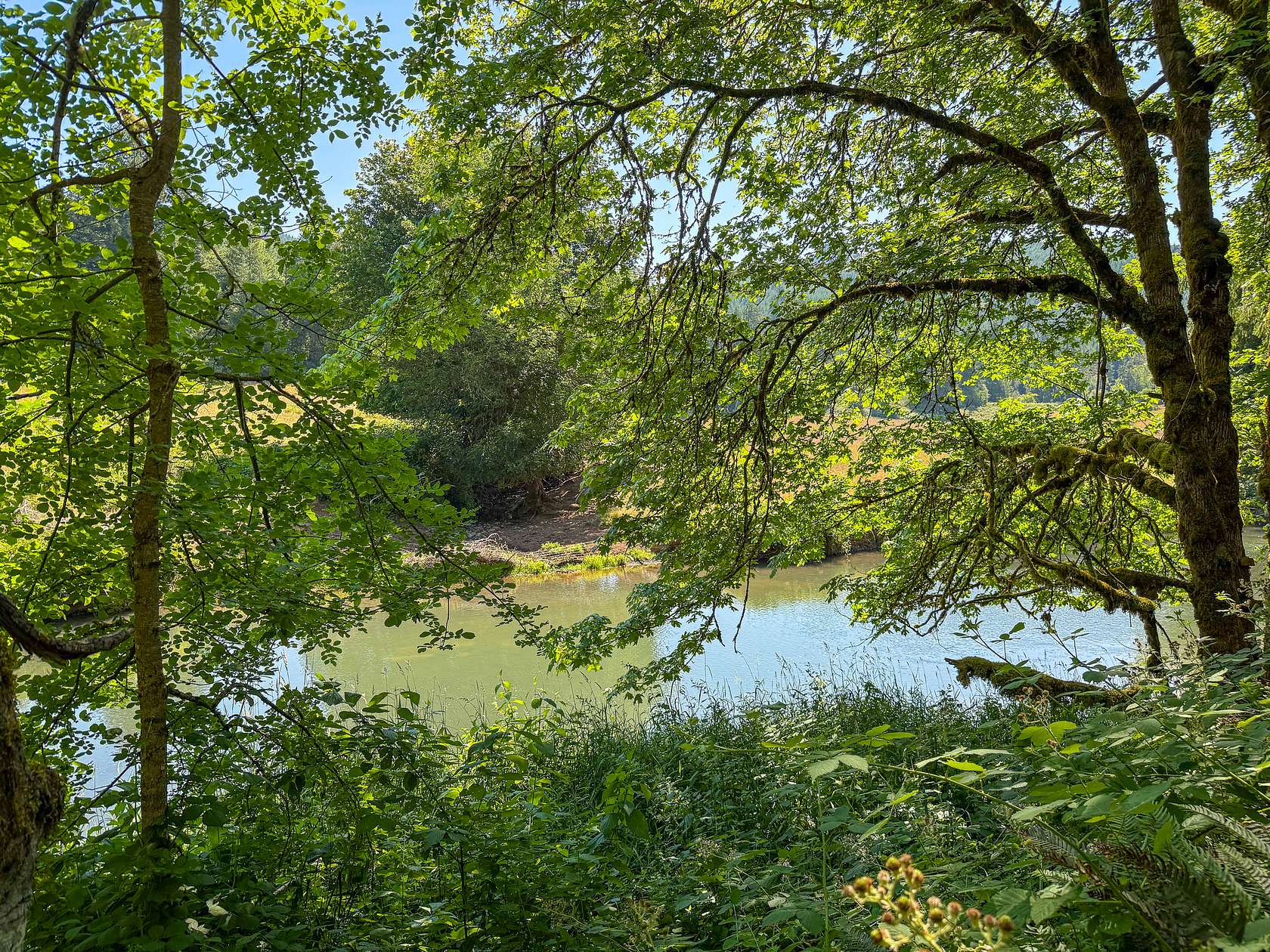 1.69 Acres of Land for Sale in Cottage Grove, Oregon