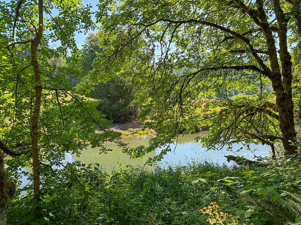 1.69 Acres of Land for Sale in Cottage Grove, Oregon