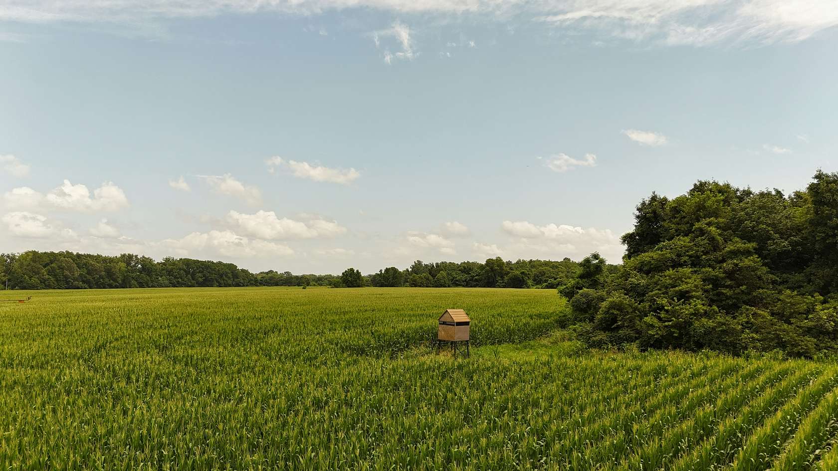 1,776 Acres of Land for Sale in Marvell, Arkansas