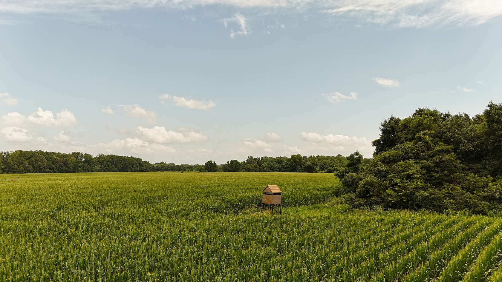 1,776 Acres of Land for Sale in Marvell, Arkansas