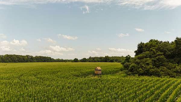 1,776 Acres of Land for Sale in Marvell, Arkansas