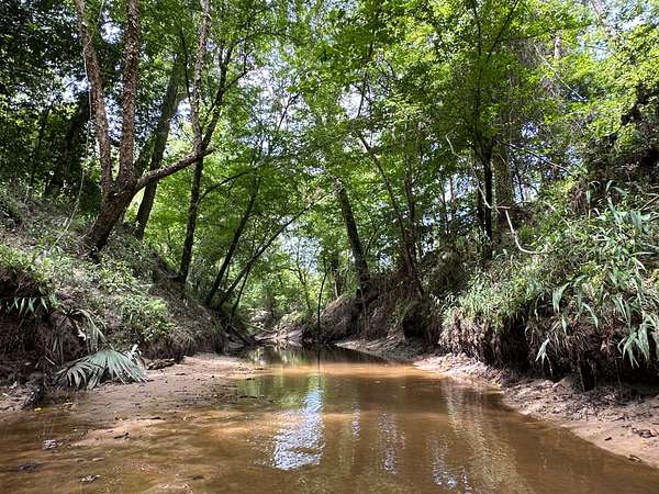 158 Acres of Recreational Land for Sale in Apple Springs, Texas