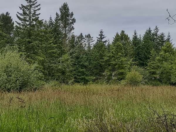 61.9 Acres of Recreational Land for Sale in Port Angeles, Washington