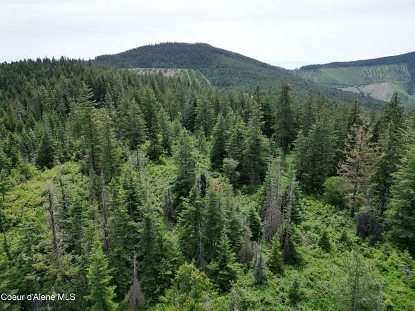 20 Acres of Recreational Land for Sale in Cataldo, Idaho