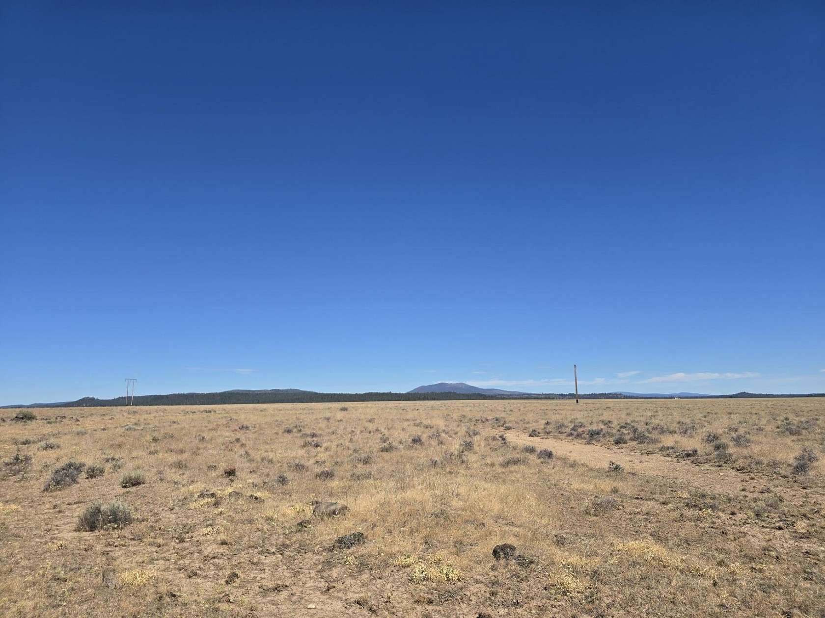 40 Acres of Land for Sale in Sprague River, Oregon