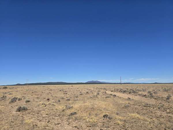 40 Acres of Land for Sale in Sprague River, Oregon