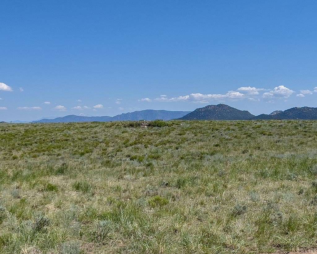 38.1 Acres of Recreational Land for Sale in Westcliffe, Colorado