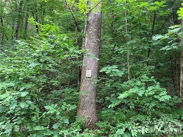 5.22 Acres of Land for Sale in Rosman, North Carolina