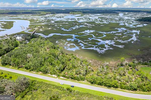 2 Acres of Residential Land for Sale in Woodbine, Georgia