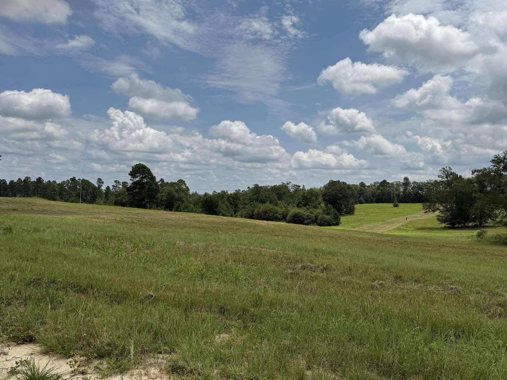 36 Acres of Agricultural Land for Sale in Aiken, South Carolina