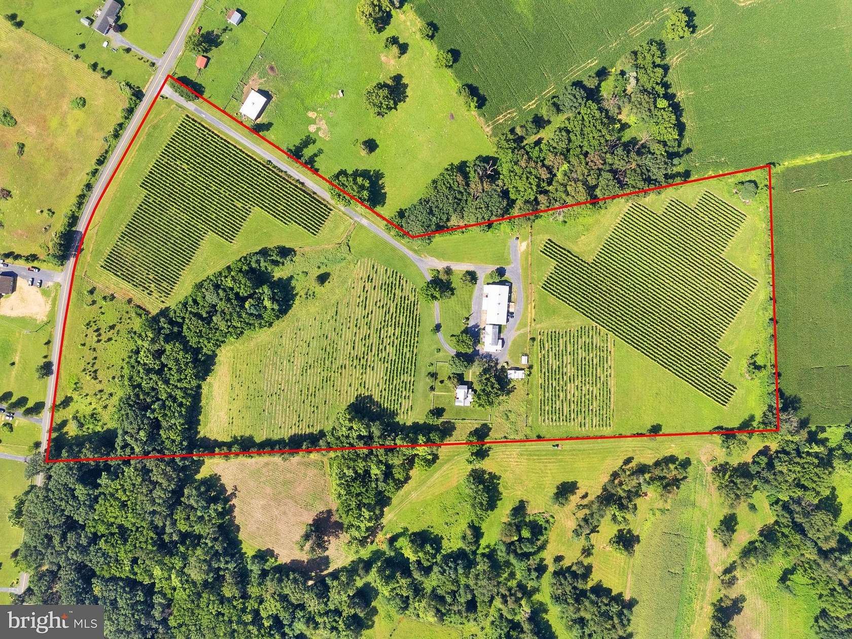 27.7 Acres of Agricultural Land with Home for Sale in Edinburg, Virginia