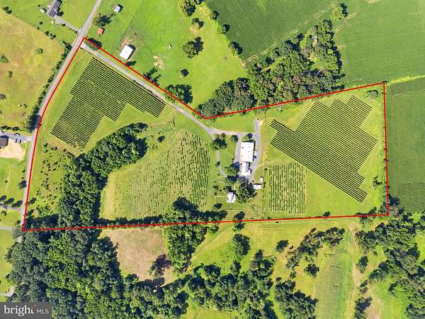 27.7 Acres of Agricultural Land with Home for Sale in Edinburg, Virginia