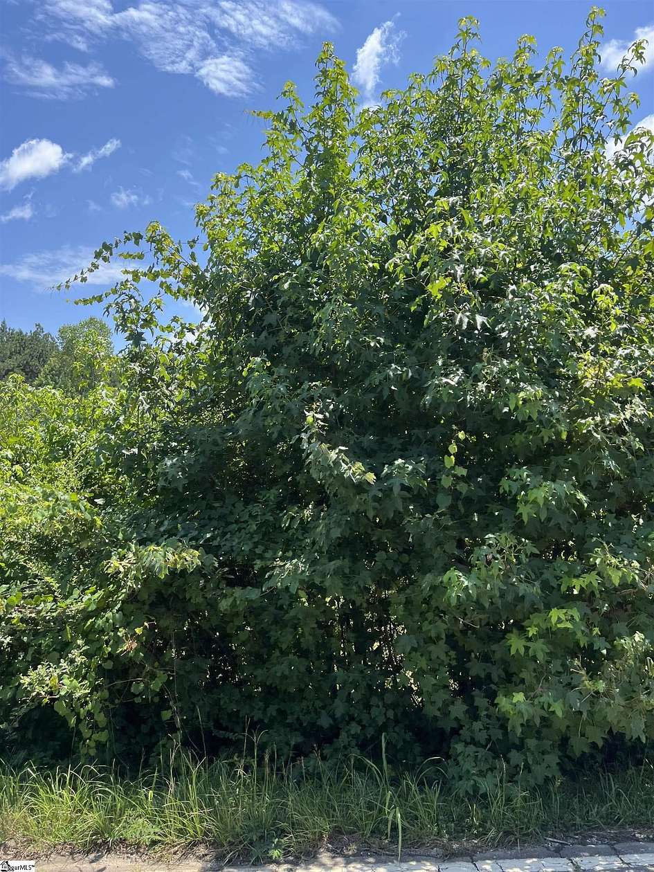 0.44 Acres of Residential Land for Sale in Taylors, South Carolina