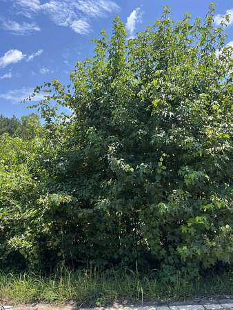 0.44 Acres of Residential Land for Sale in Taylors, South Carolina