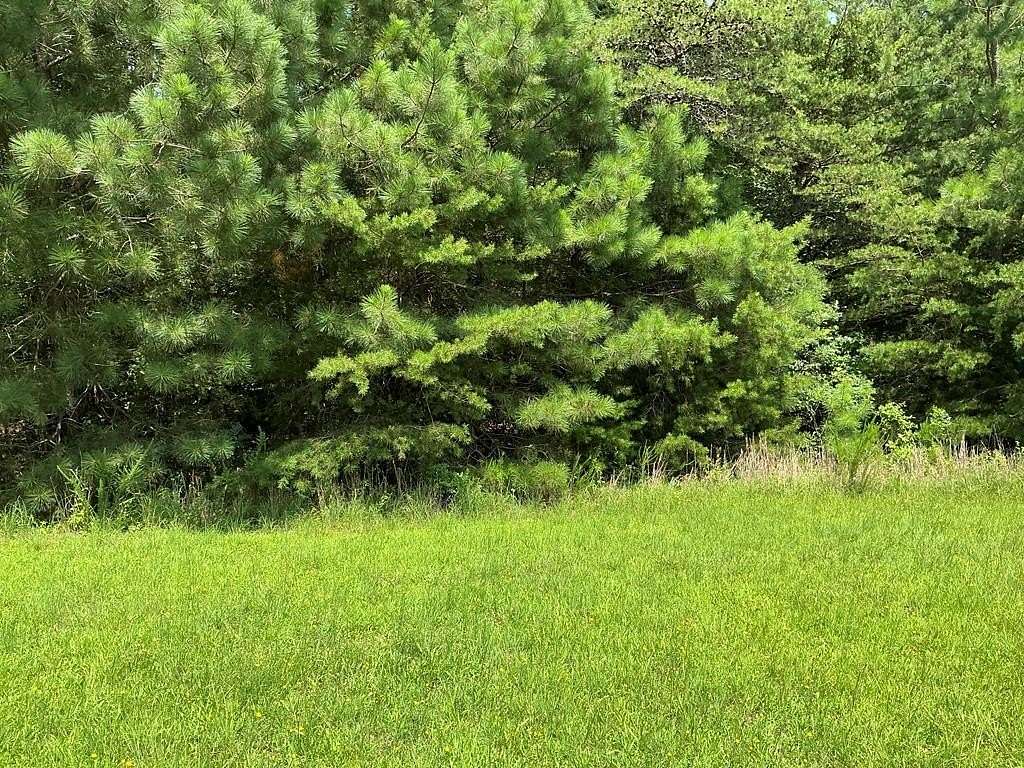 2.37 Acres of Residential Land for Sale in Callao, Virginia