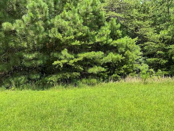 2.37 Acres of Residential Land for Sale in Callao, Virginia