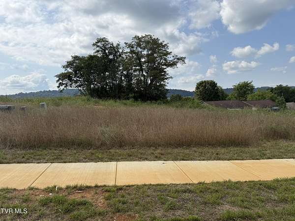 0.25 Acres of Residential Land for Sale in Johnson City, Tennessee