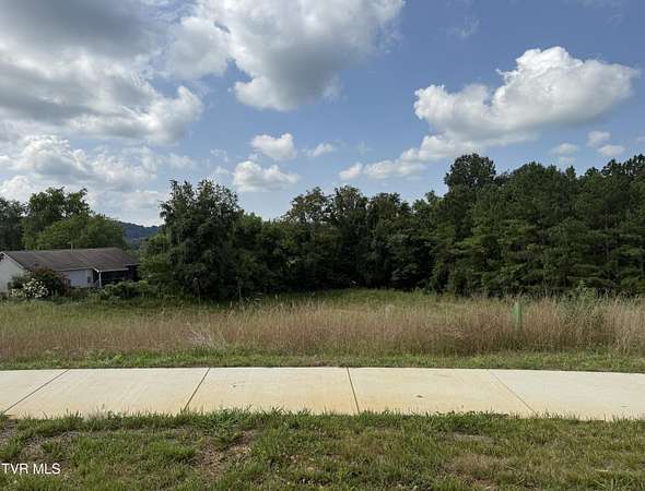 0.37 Acres of Residential Land for Sale in Johnson City, Tennessee