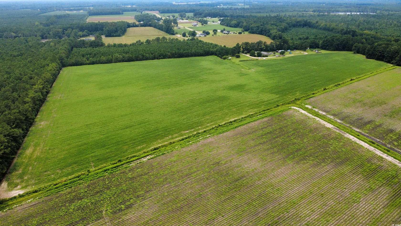 30.5 Acres of Agricultural Land for Sale in Aynor, South Carolina