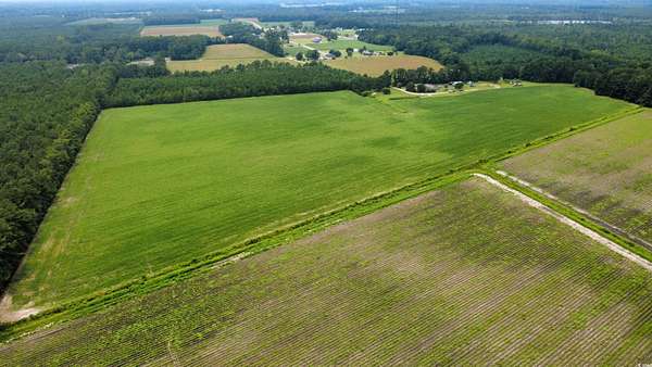 30.5 Acres of Agricultural Land for Sale in Aynor, South Carolina