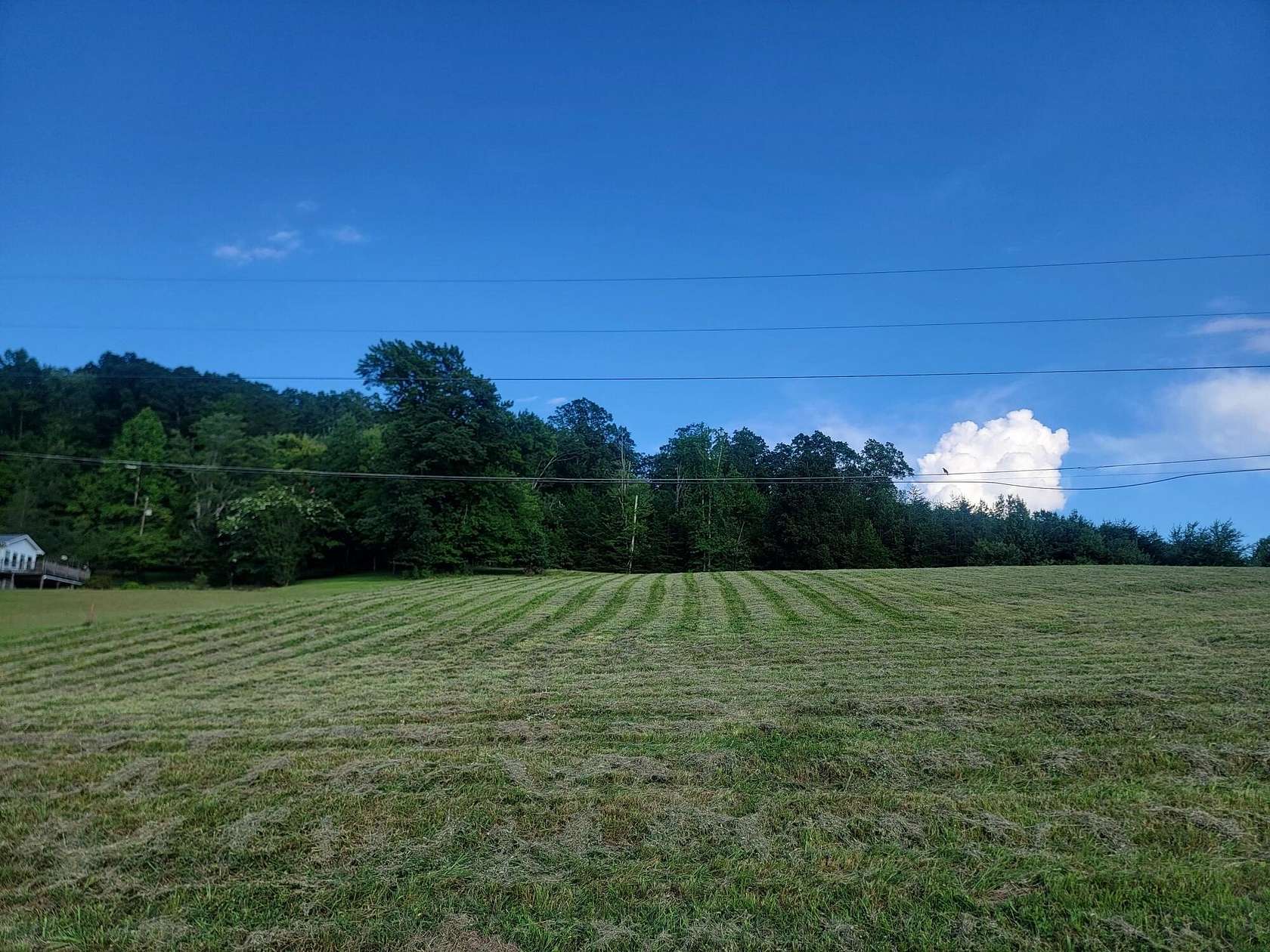 1.26 Acres of Residential Land for Sale in Spring City, Tennessee