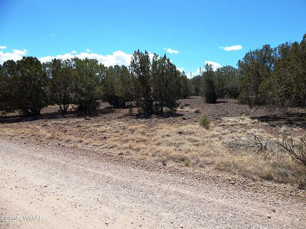 0.25 Acres of Residential Land for Sale in Show Low, Arizona