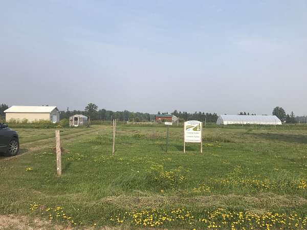15 Acres of Land for Sale in Rudyard, Michigan