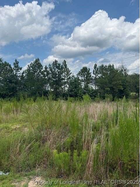 0.29 Acres of Land for Sale in Cameron, North Carolina