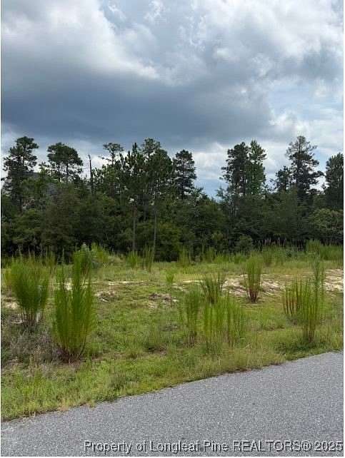 0.69 Acres of Land for Sale in Cameron, North Carolina