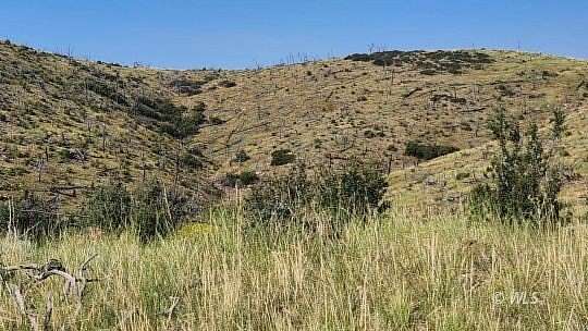 2.58 Acres of Residential Land for Sale in Cotopaxi, Colorado