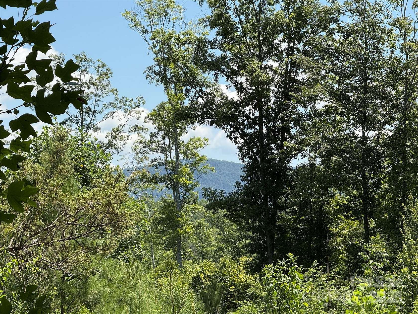 10 Acres of Agricultural Land for Sale in Bostic, North Carolina