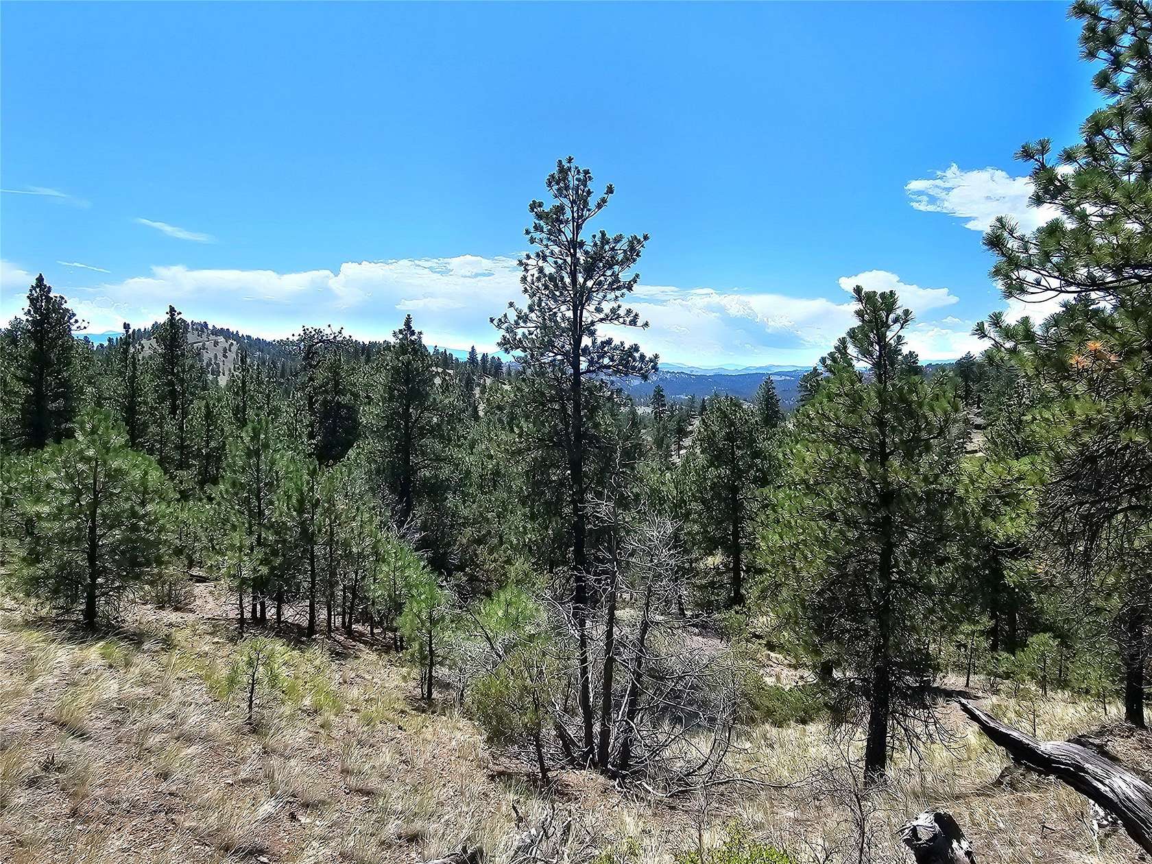 8 Acres of Land for Sale in Cascade, Montana